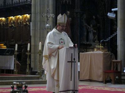 Monseñor  Munilla, Obispo. Munillaoficiando
